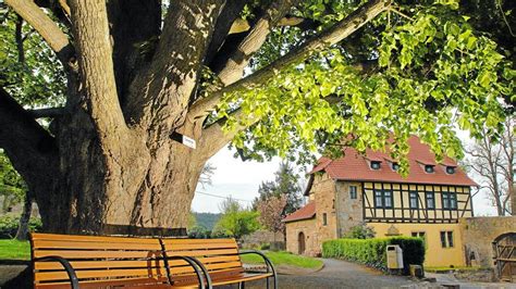 佳佳屋|Touristinformation auf der Creuzburg